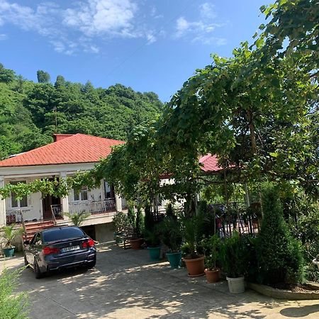 Guesthouse Mtsvane Koncxi 22 Mtsvane Konts'khi Εξωτερικό φωτογραφία