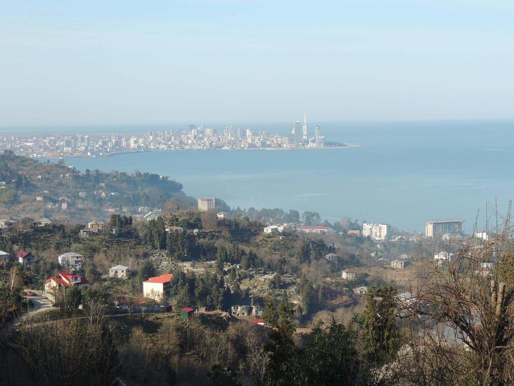 Guesthouse Mtsvane Koncxi 22 Mtsvane Konts'khi Εξωτερικό φωτογραφία