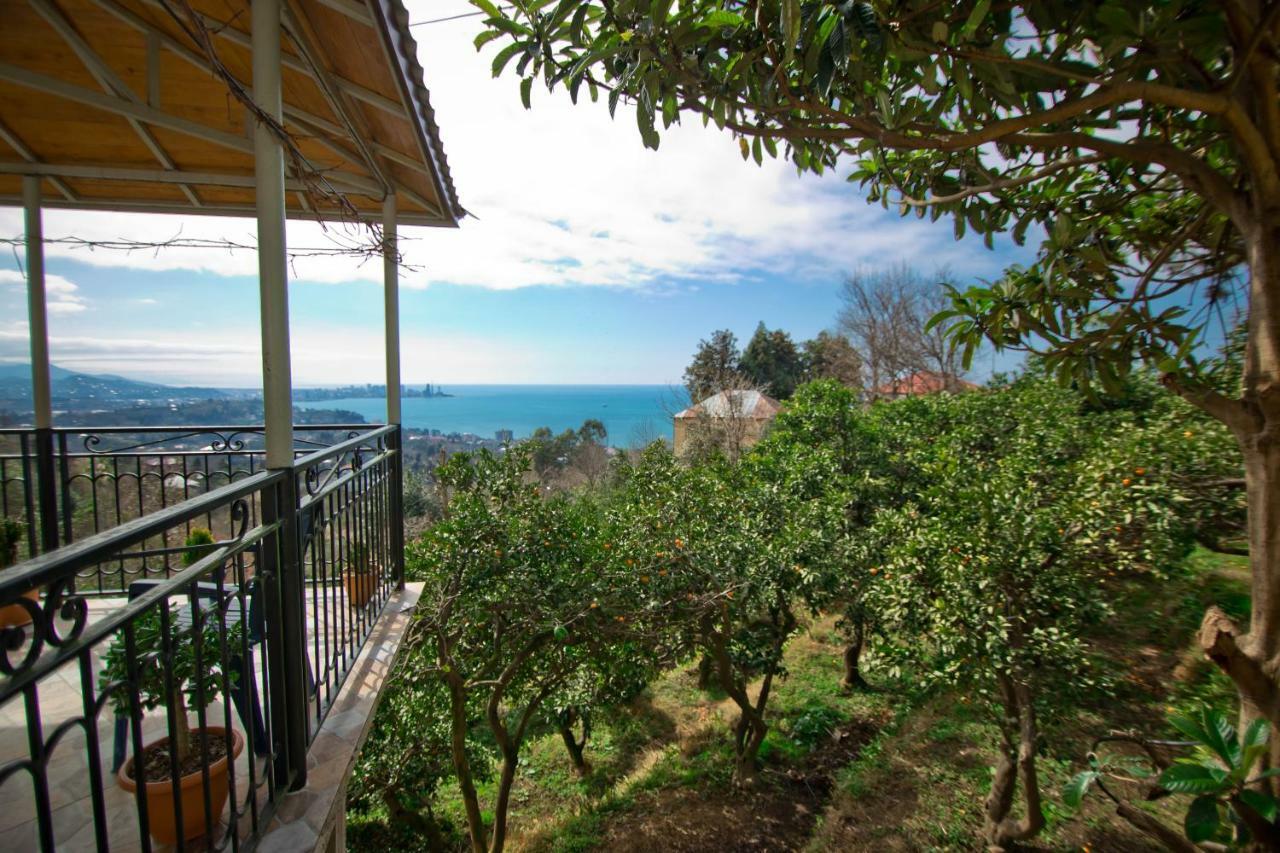 Guesthouse Mtsvane Koncxi 22 Mtsvane Konts'khi Εξωτερικό φωτογραφία